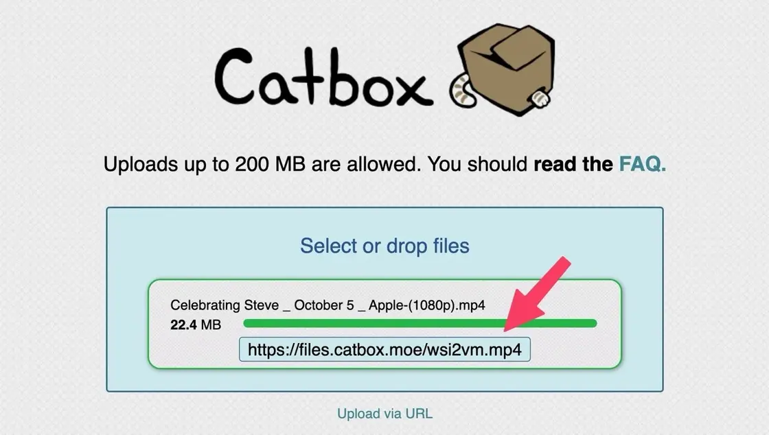 catbox-4.jpeg Catbox